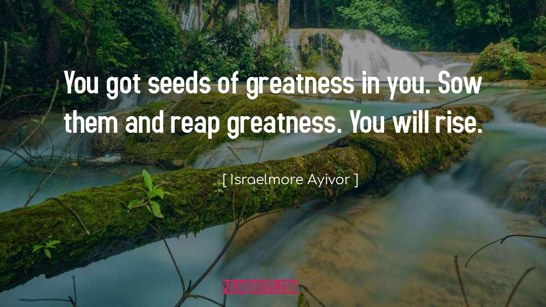 Greatness quotes by Israelmore Ayivor
