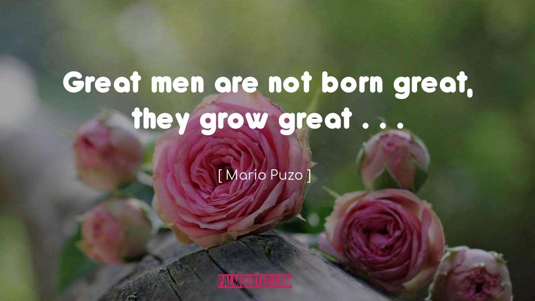 Greatness quotes by Mario Puzo