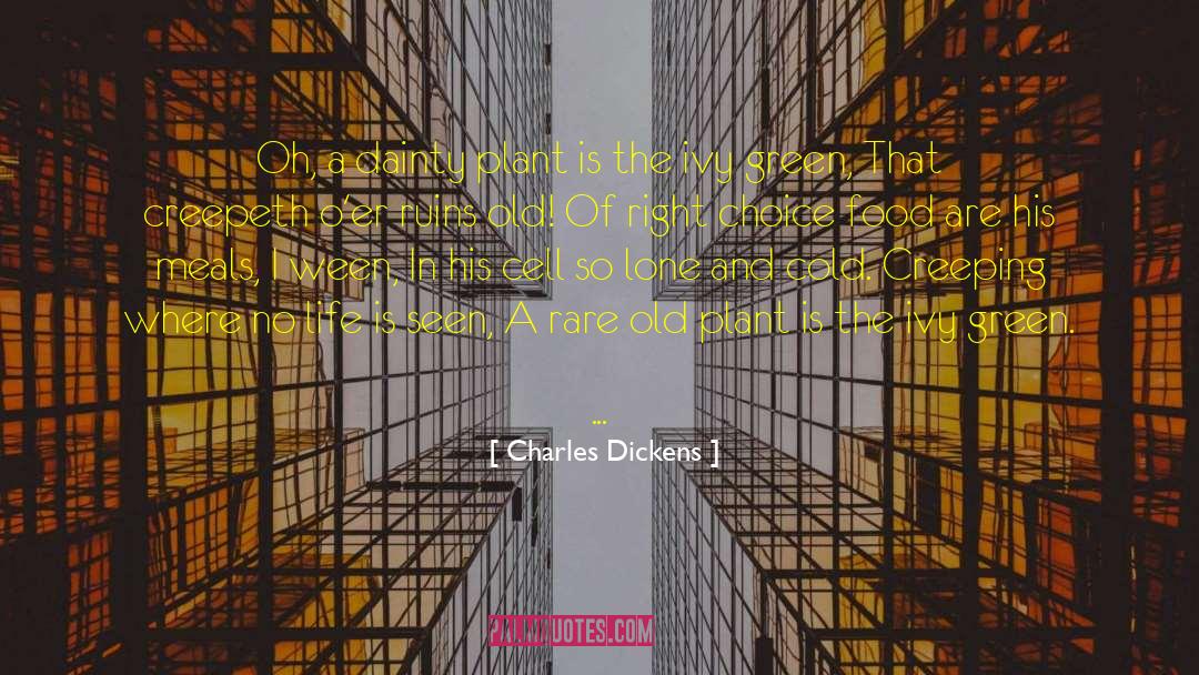 Green Fields quotes by Charles Dickens