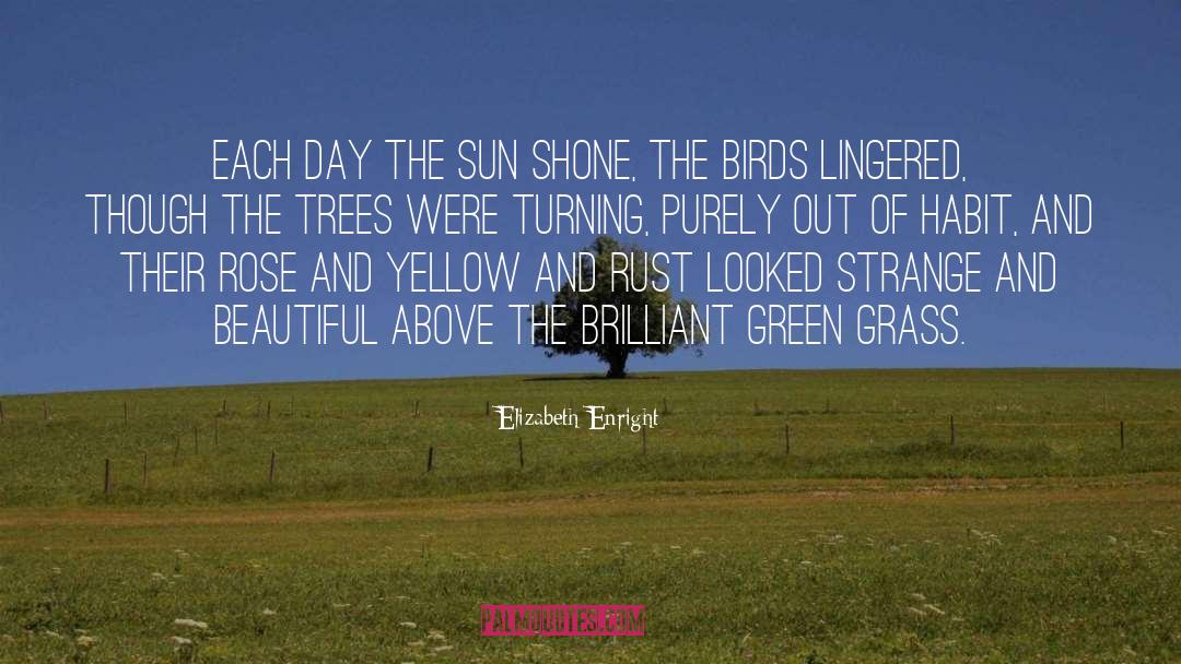 Green Grass quotes by Elizabeth Enright