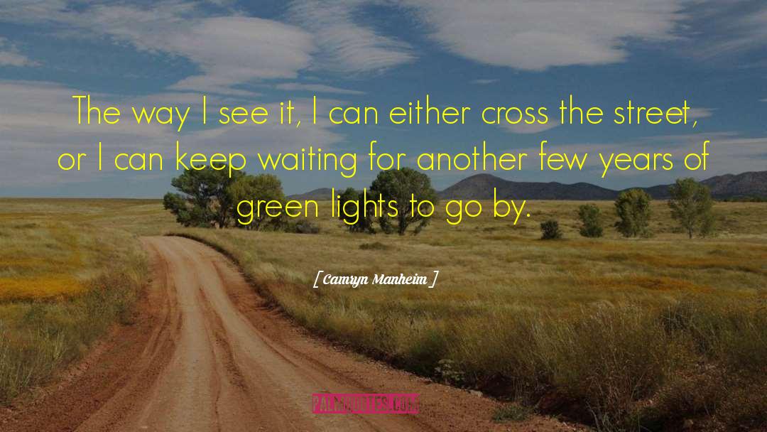 Green Lights quotes by Camryn Manheim