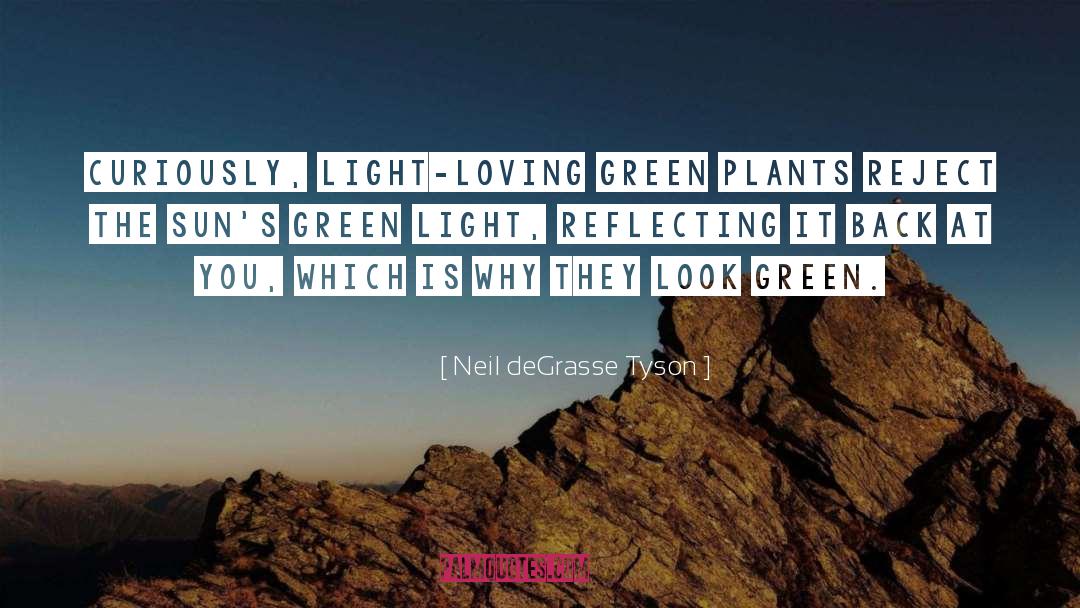 Green Lights quotes by Neil DeGrasse Tyson