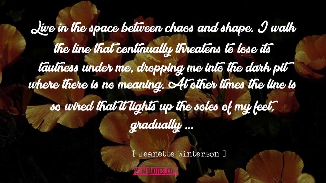 Green Lights quotes by Jeanette Winterson