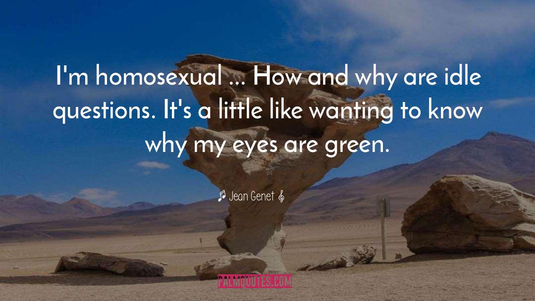 Green Mounds quotes by Jean Genet