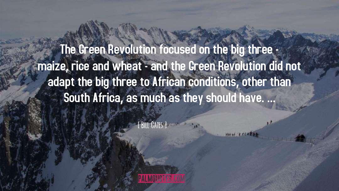 Green quotes by Bill Gates