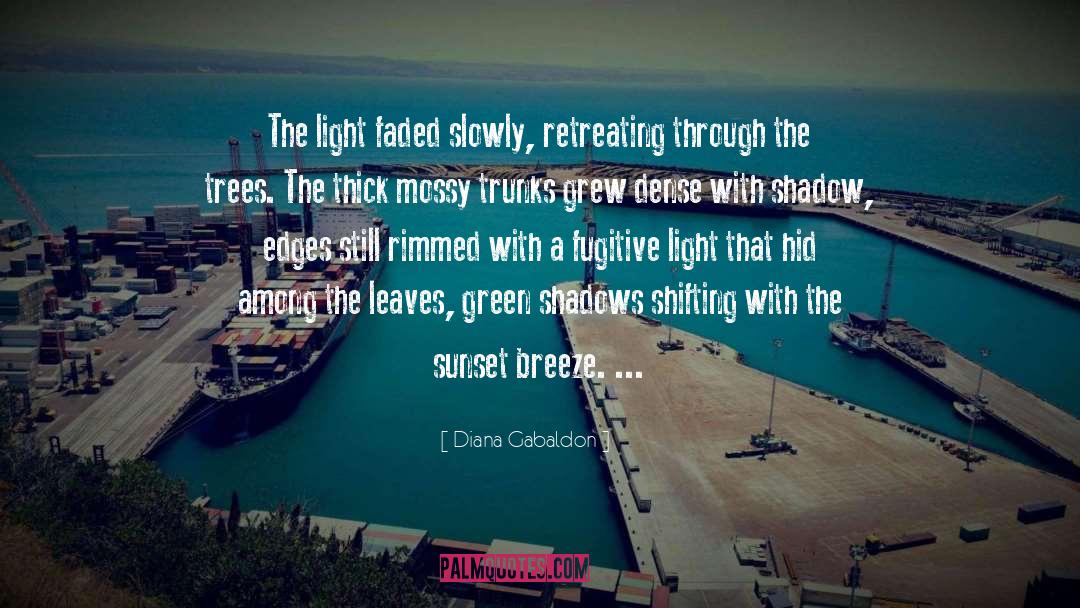 Green Shadows quotes by Diana Gabaldon
