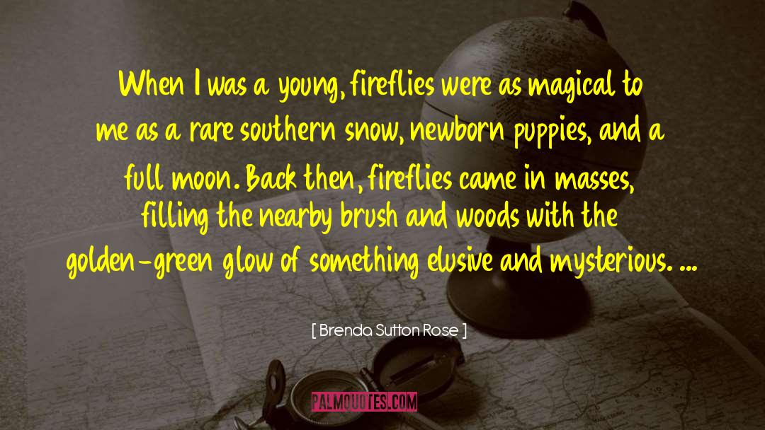 Green Shadows quotes by Brenda Sutton Rose