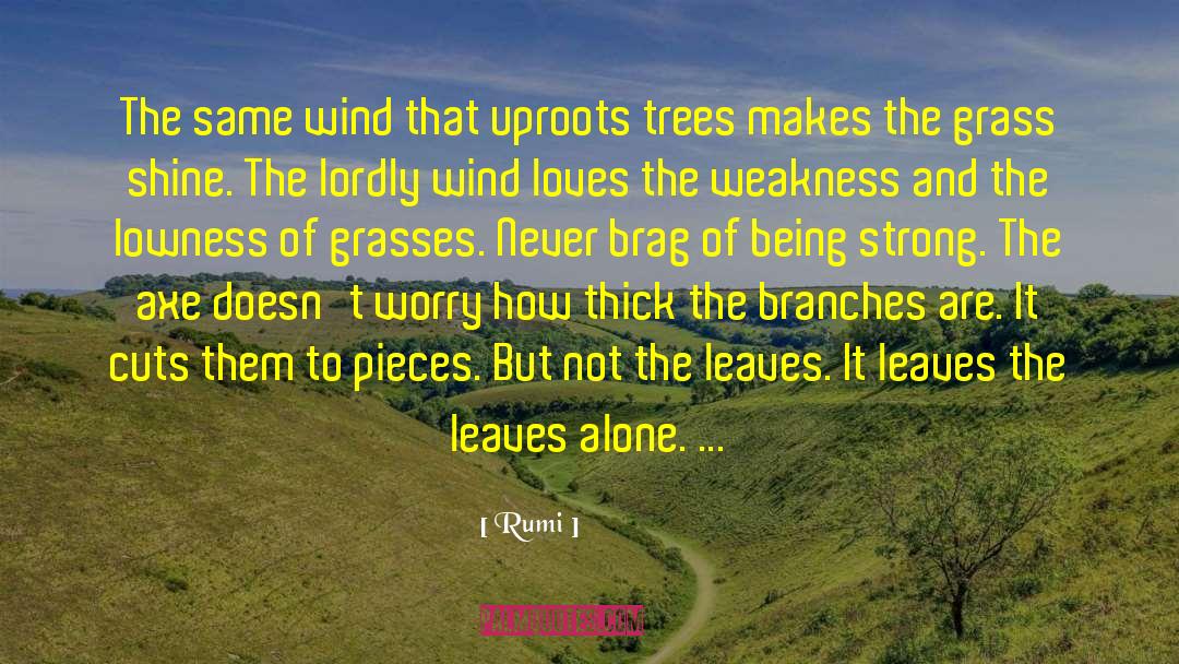 Green Trees quotes by Rumi