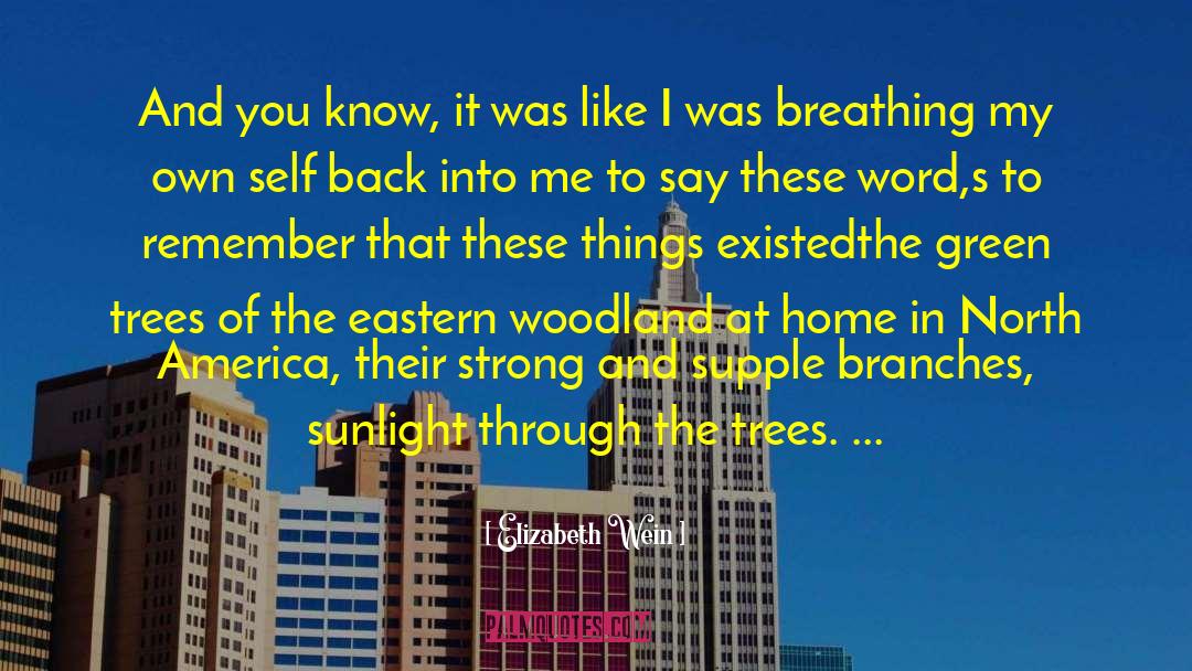 Green Trees quotes by Elizabeth Wein