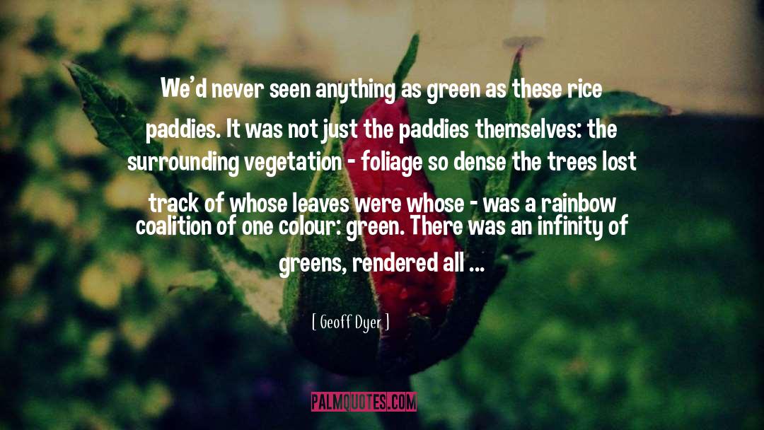 Greener Pastures quotes by Geoff Dyer