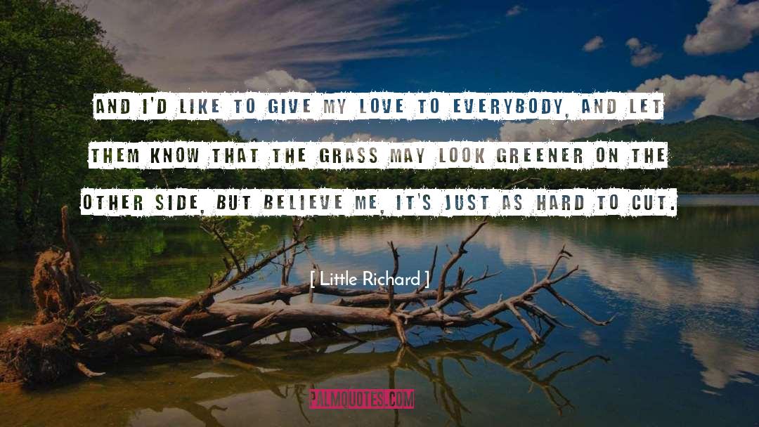 Greener quotes by Little Richard
