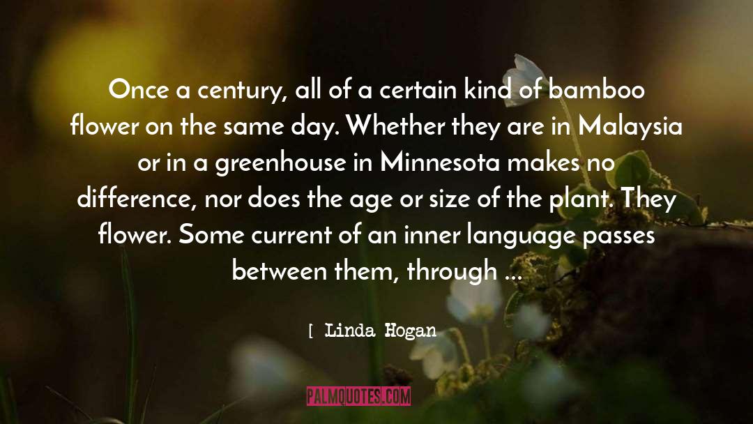 Greenhouses quotes by Linda Hogan