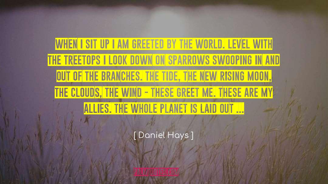 Greet Me quotes by Daniel Hays
