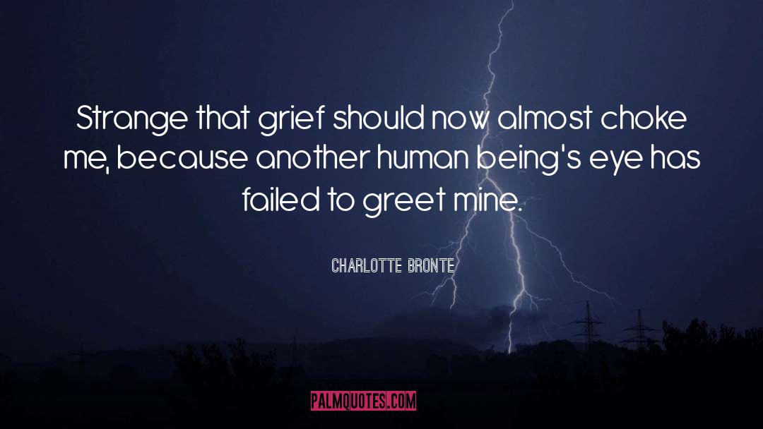 Greet quotes by Charlotte Bronte