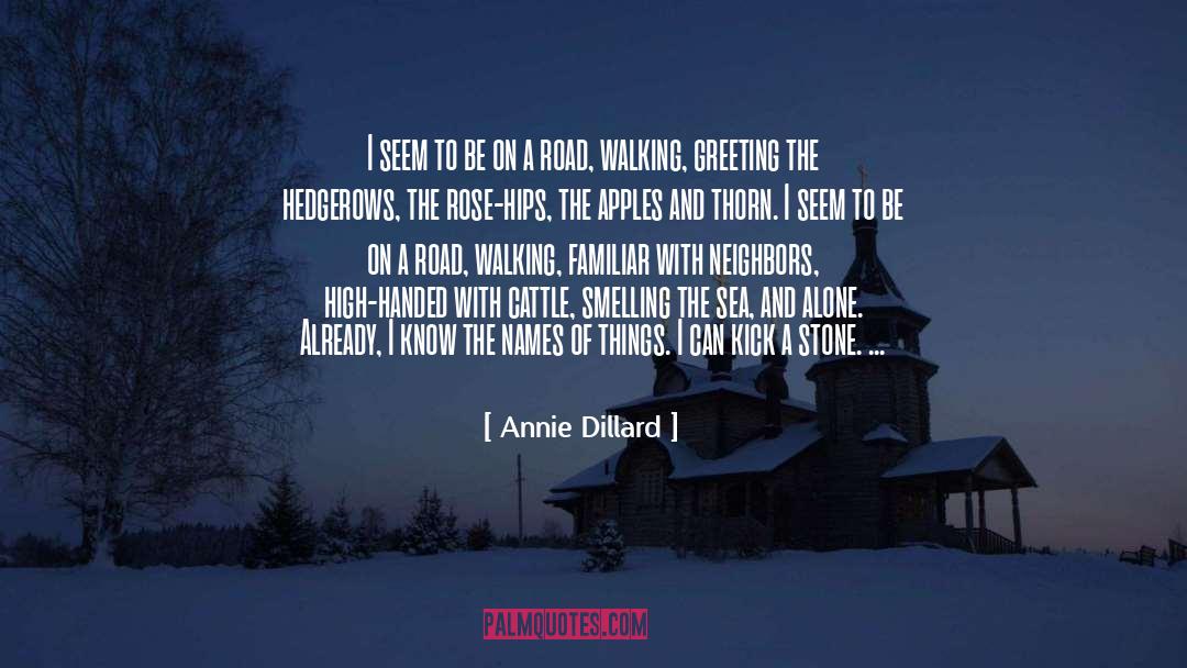 Greeting quotes by Annie Dillard