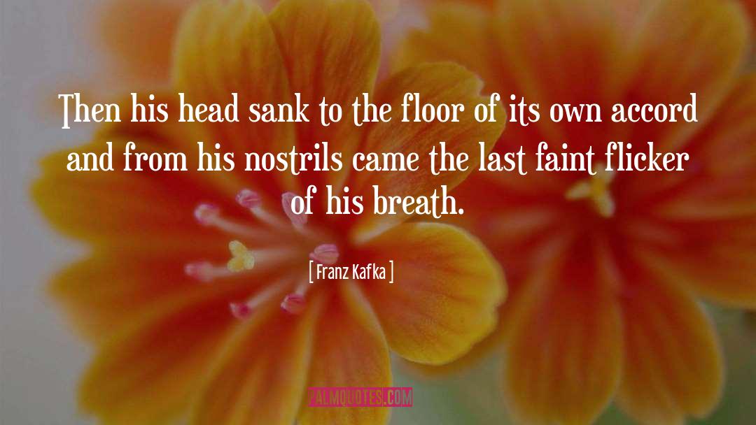 Gregor Samsa quotes by Franz Kafka