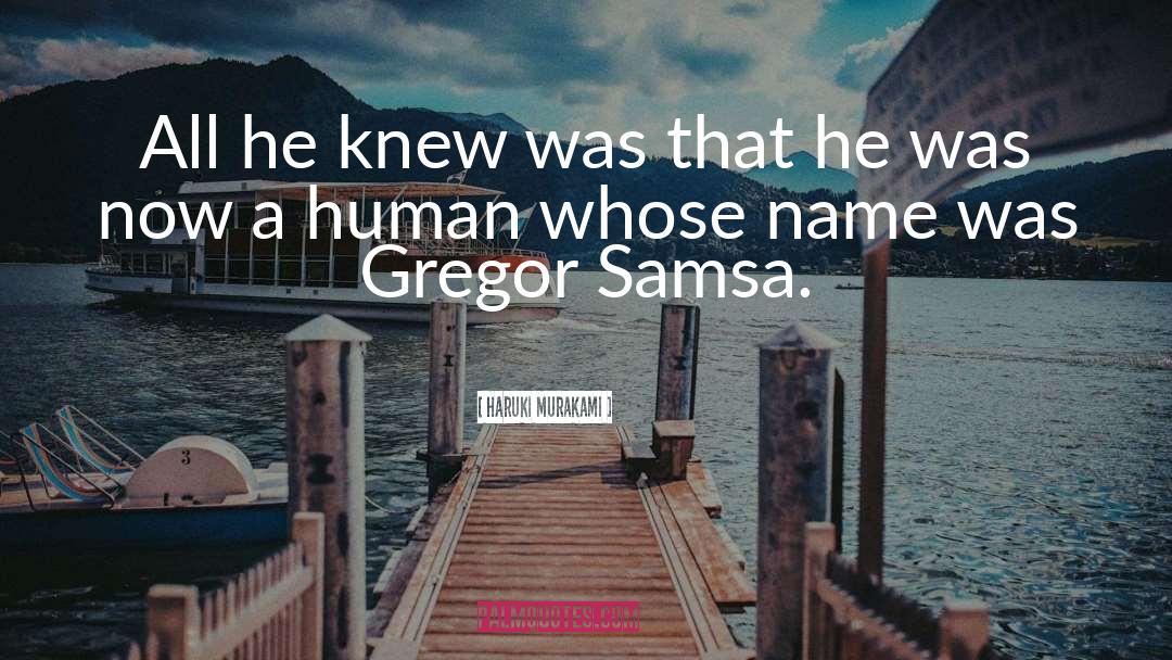 Gregor Samsa quotes by Haruki Murakami