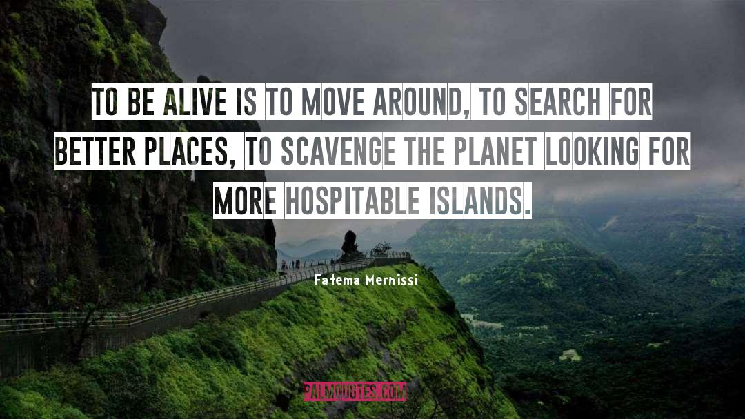 Grenadines Islands quotes by Fatema Mernissi