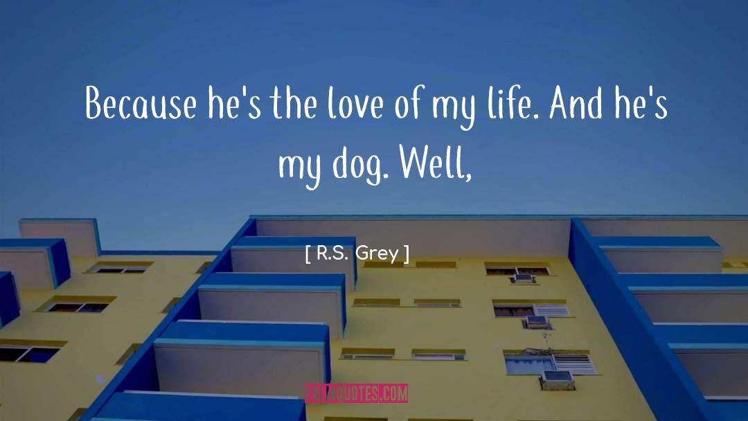 Grey 27s Anatomy quotes by R.S. Grey