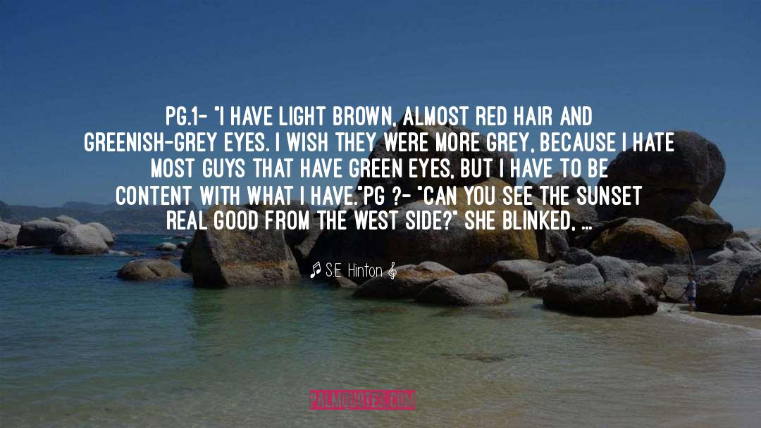 Grey Eyes quotes by S.E. Hinton