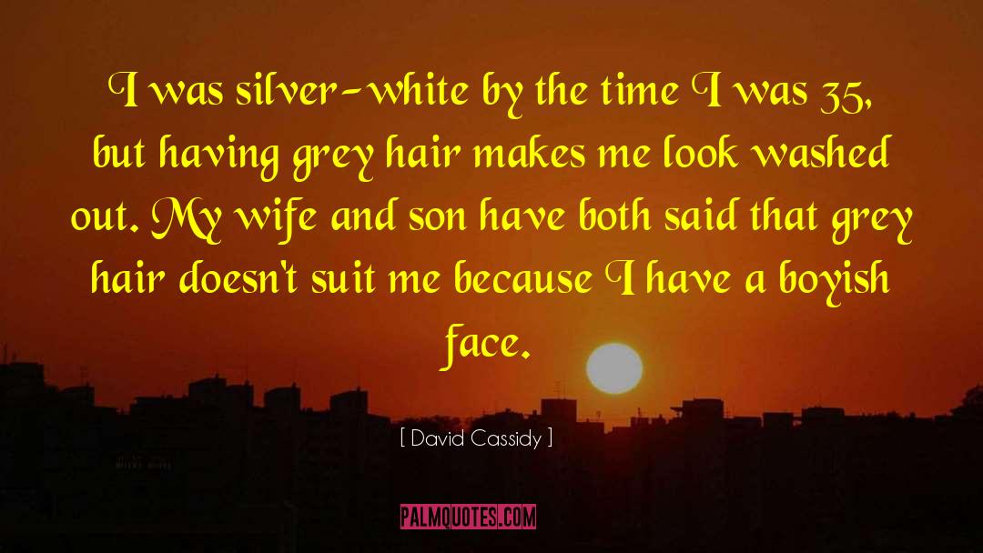 Grey Hair quotes by David Cassidy