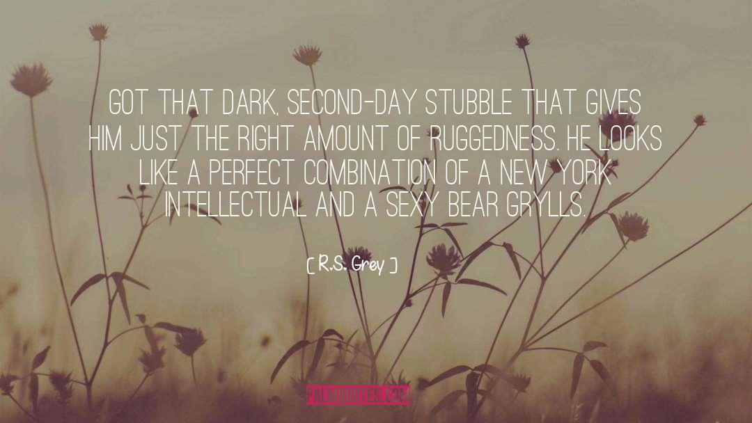 Grey quotes by R.S. Grey