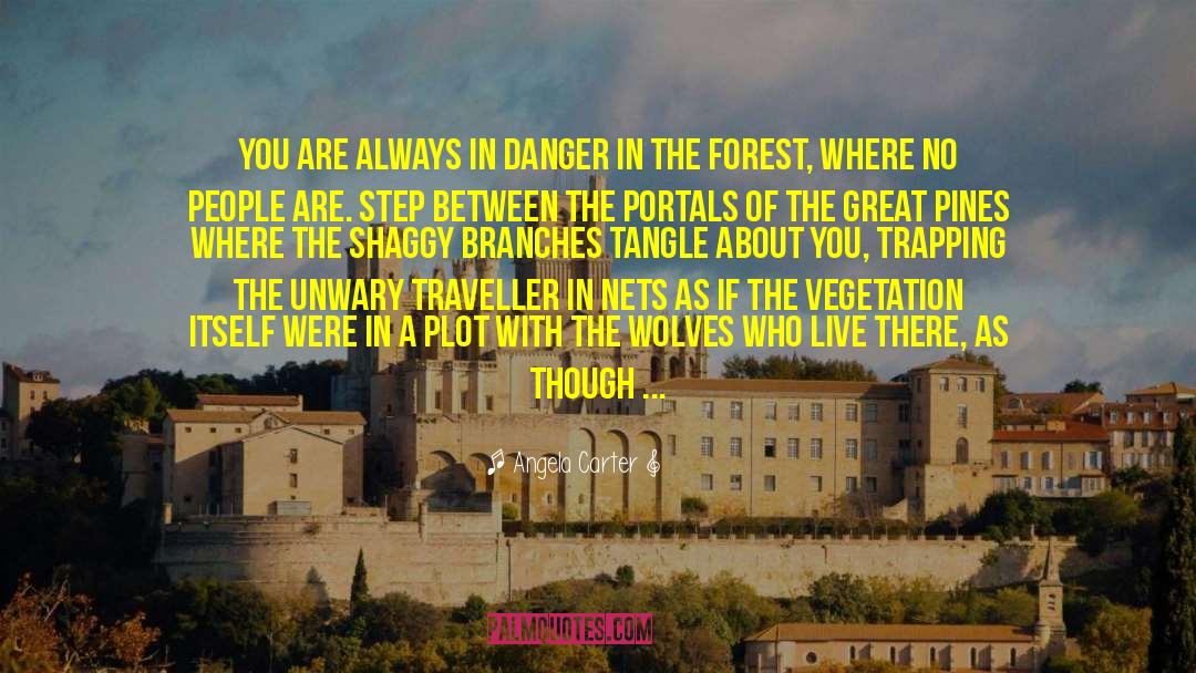 Grey Wolves Series quotes by Angela Carter