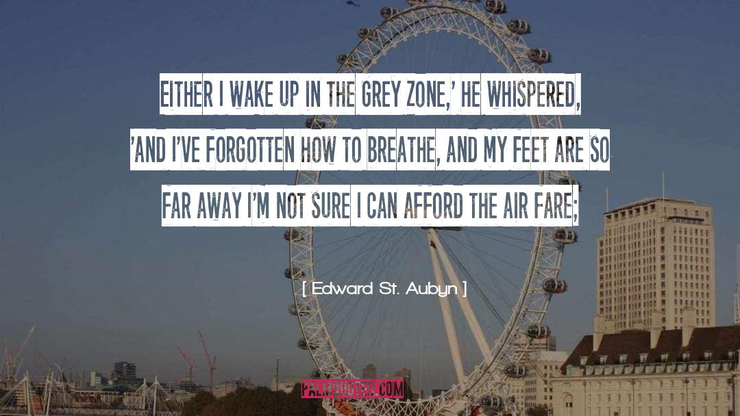 Grey Zone quotes by Edward St. Aubyn