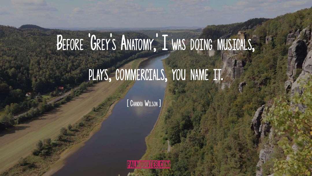 Greys Anatomy 5x14 quotes by Chandra Wilson