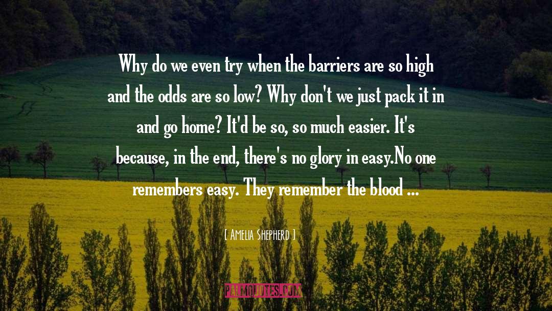 Greys Anatomy 5x14 quotes by Amelia Shepherd