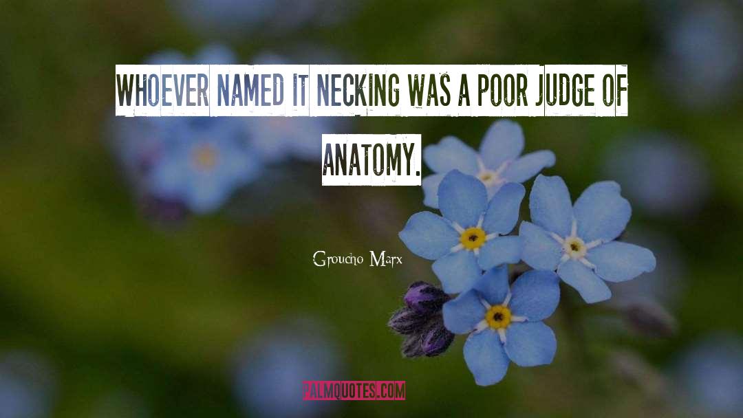 Greys Anatomy quotes by Groucho Marx
