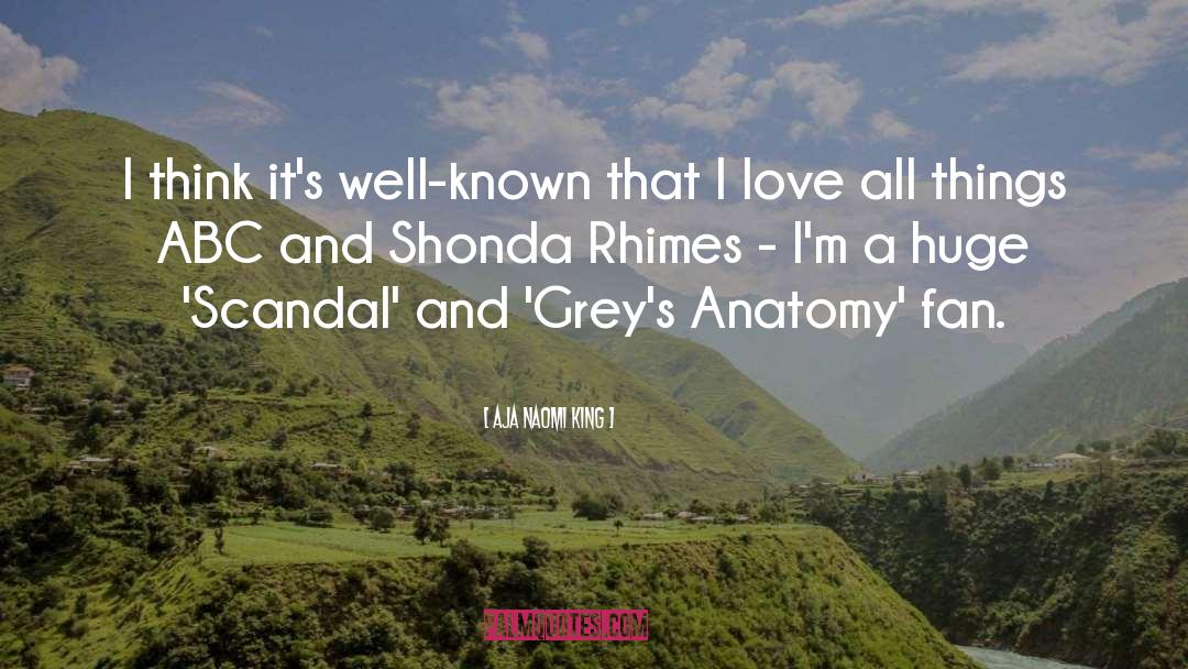 Greys Anatomy quotes by Aja Naomi King