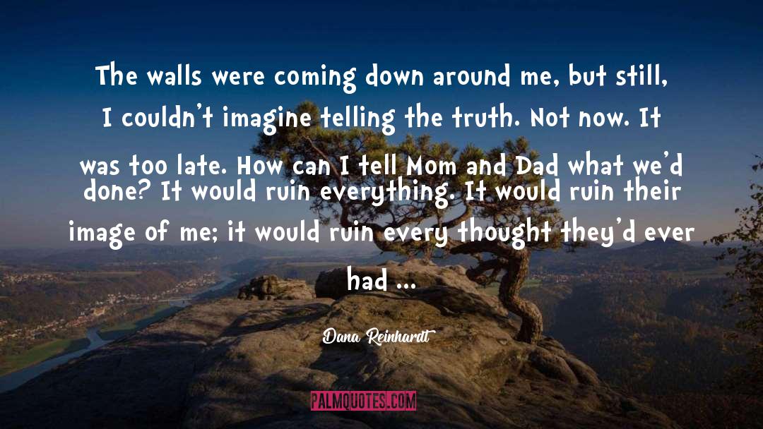 Grief Amd Loss quotes by Dana Reinhardt