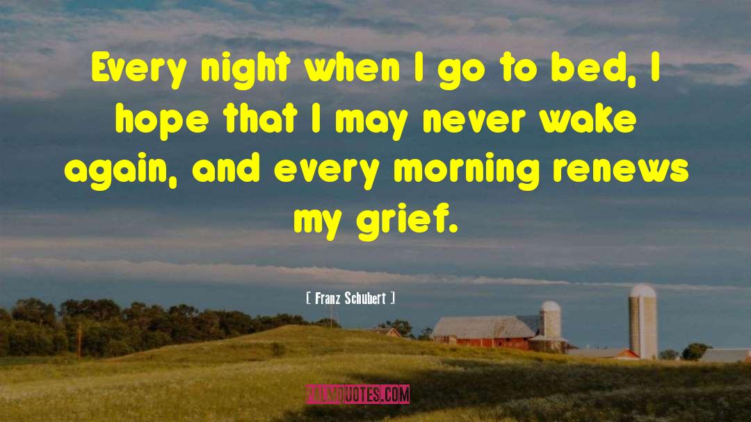 Grief And Regret quotes by Franz Schubert