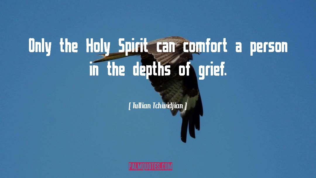 Grief Comfort quotes by Tullian Tchividjian