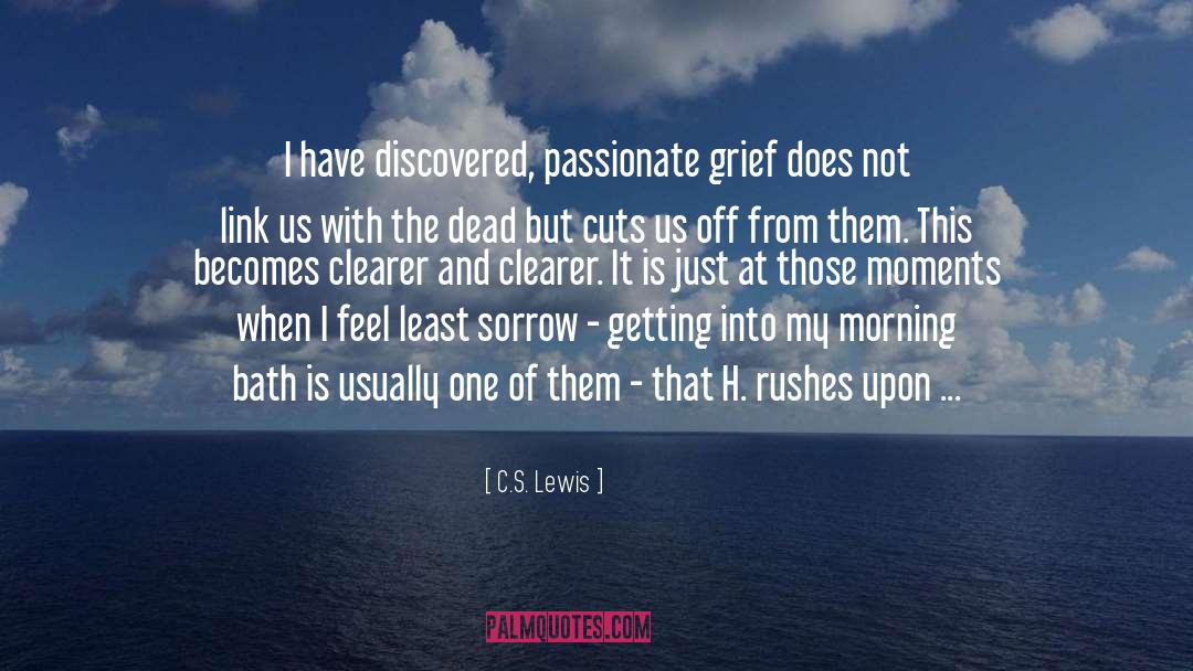 Grief Comfort quotes by C.S. Lewis