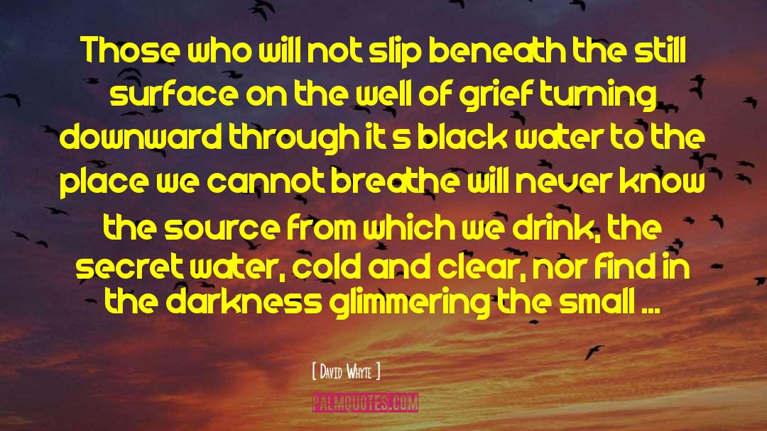 Grief From The Bible quotes by David Whyte