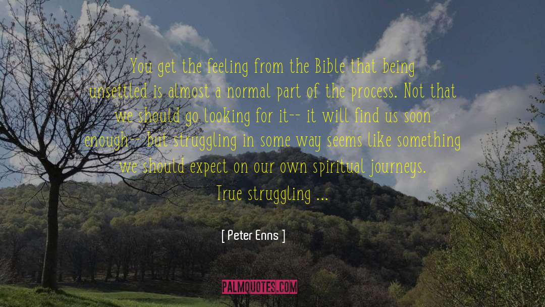 Grief From The Bible quotes by Peter Enns