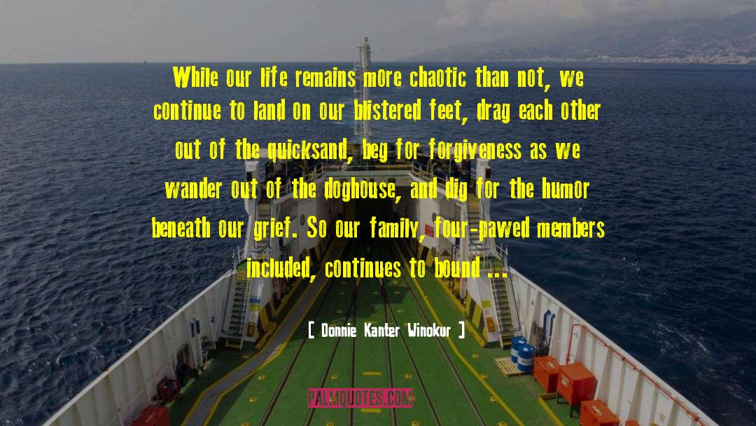 Grief Inspirational Bereavement quotes by Donnie Kanter Winokur