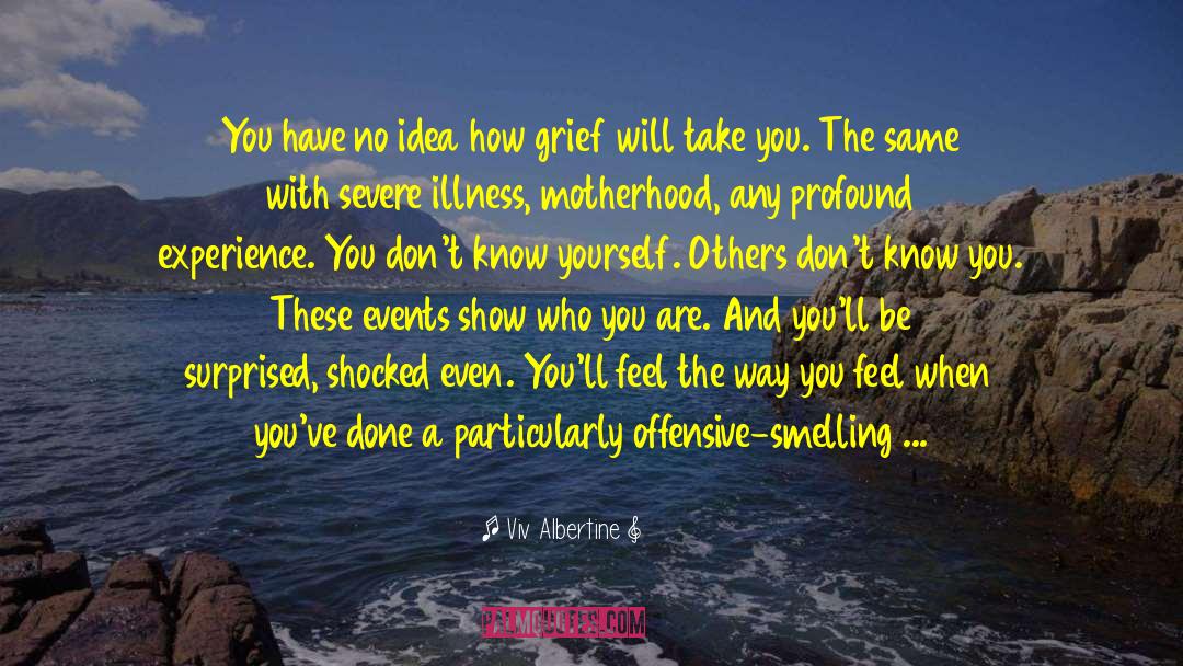 Grief Inspirational Breavement quotes by Viv Albertine