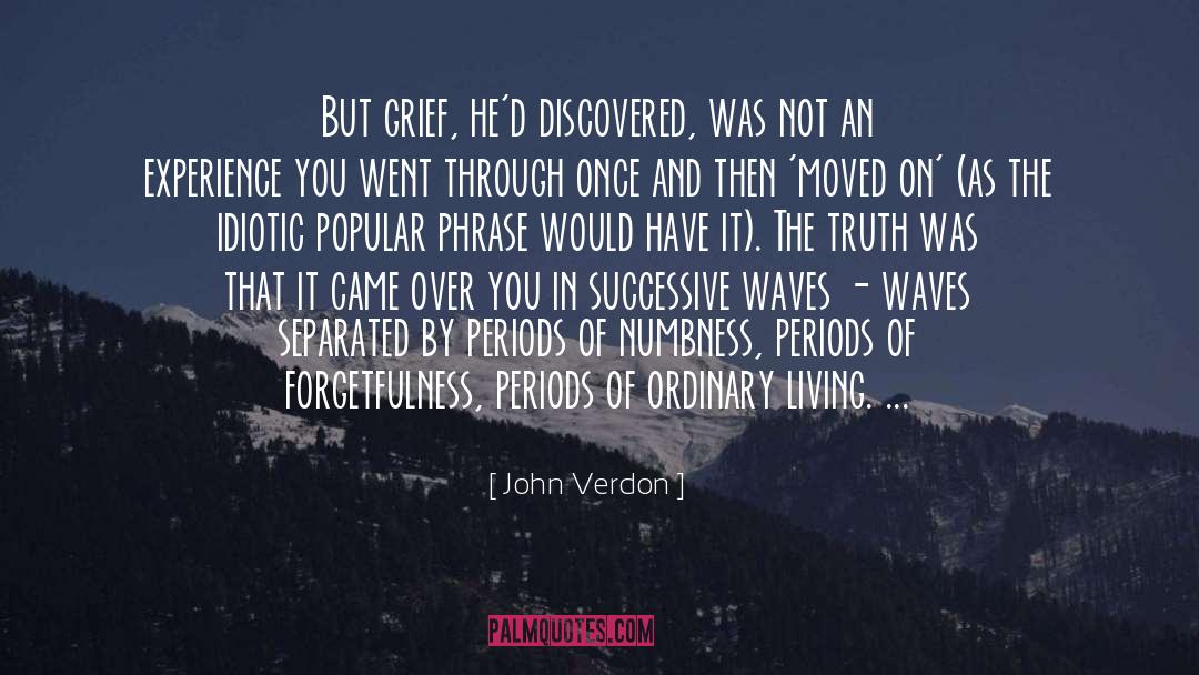 Grief Observed quotes by John Verdon