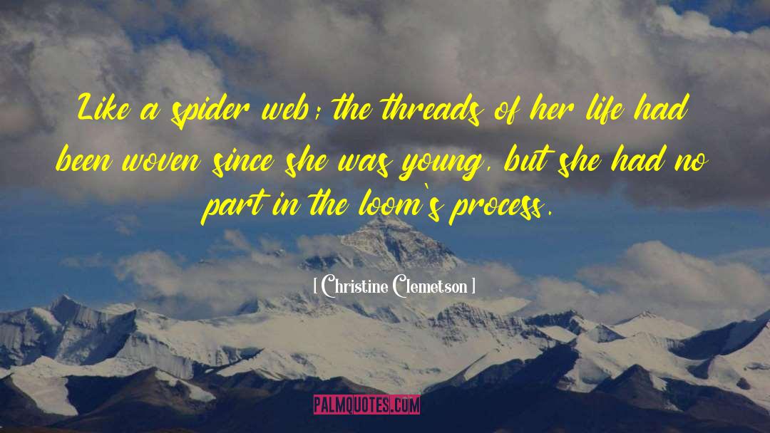 Grief Process quotes by Christine Clemetson