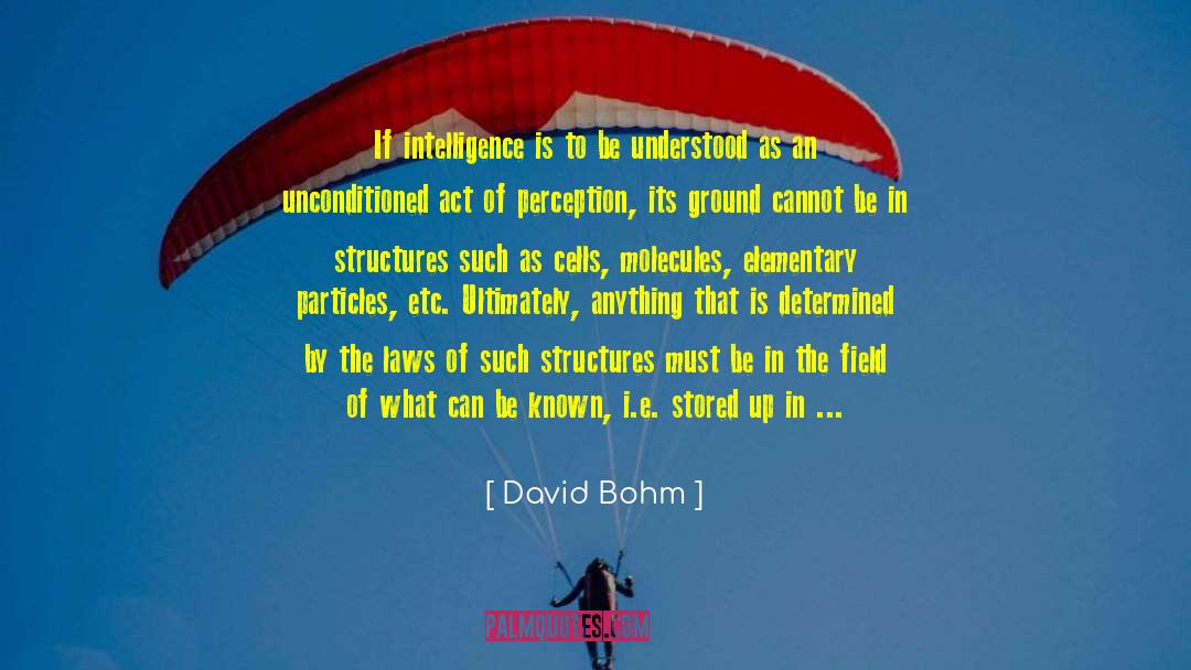 Grief Process quotes by David Bohm