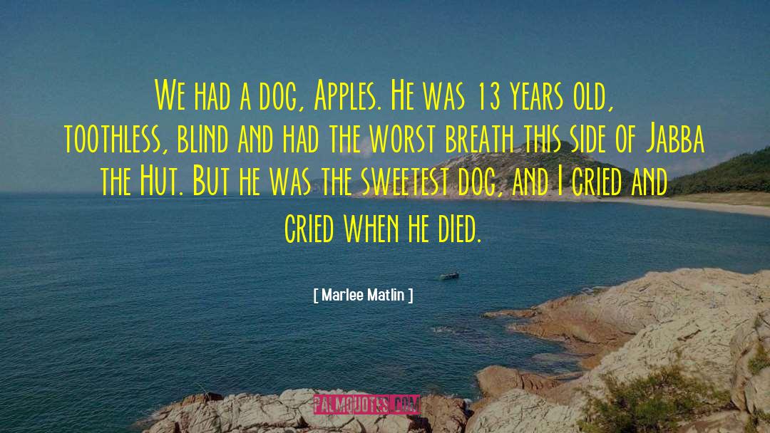 Grief Recover Pet Loss quotes by Marlee Matlin