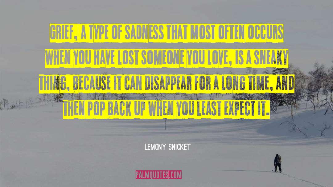 Grief Recovery quotes by Lemony Snicket