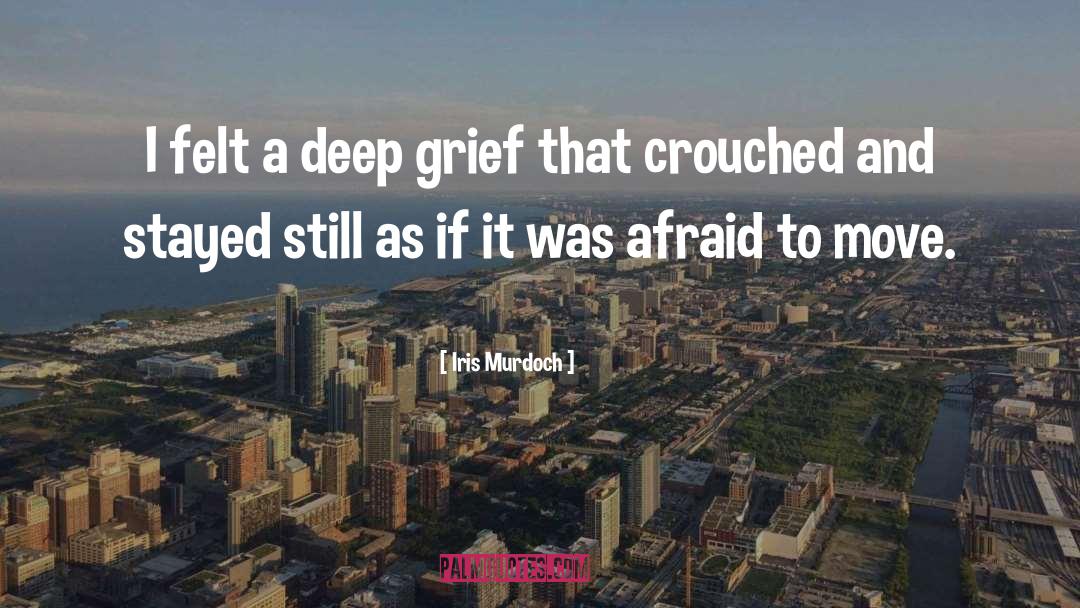 Grief Support quotes by Iris Murdoch