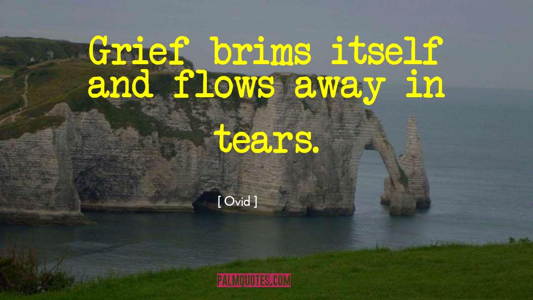 Grief Support quotes by Ovid