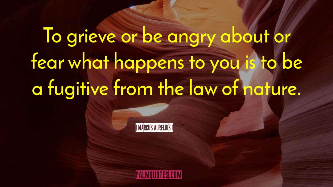 Grieve quotes by Marcus Aurelius