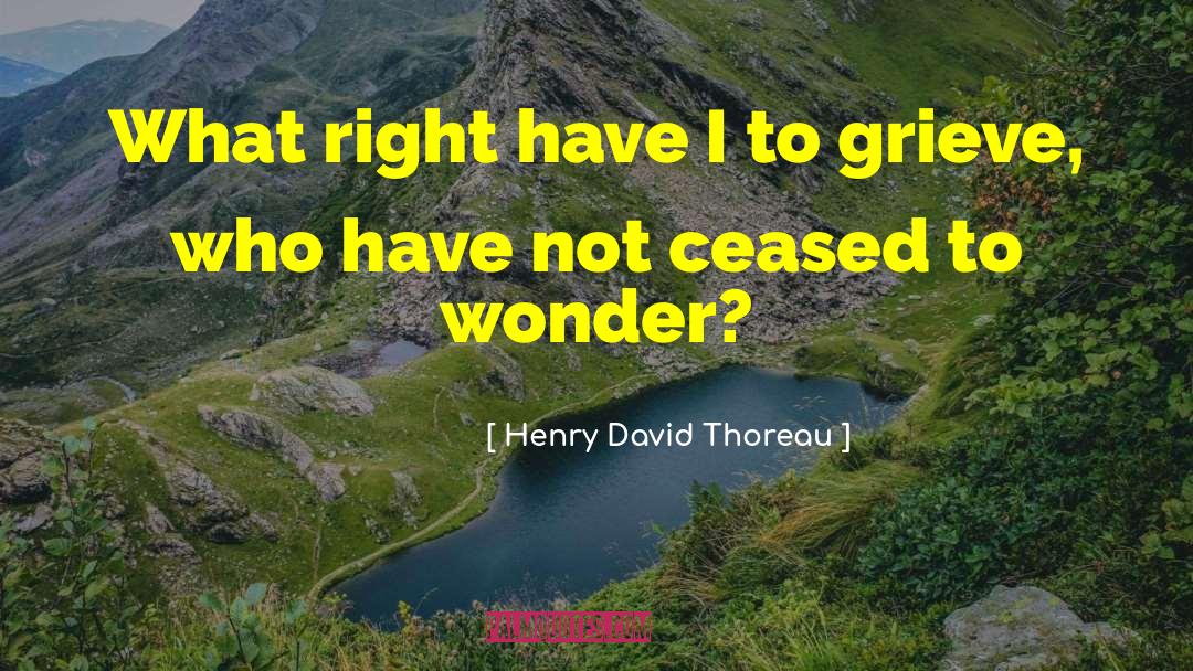 Grieve quotes by Henry David Thoreau