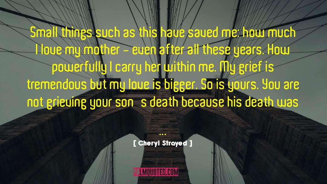 Grieving For My Son quotes by Cheryl Strayed